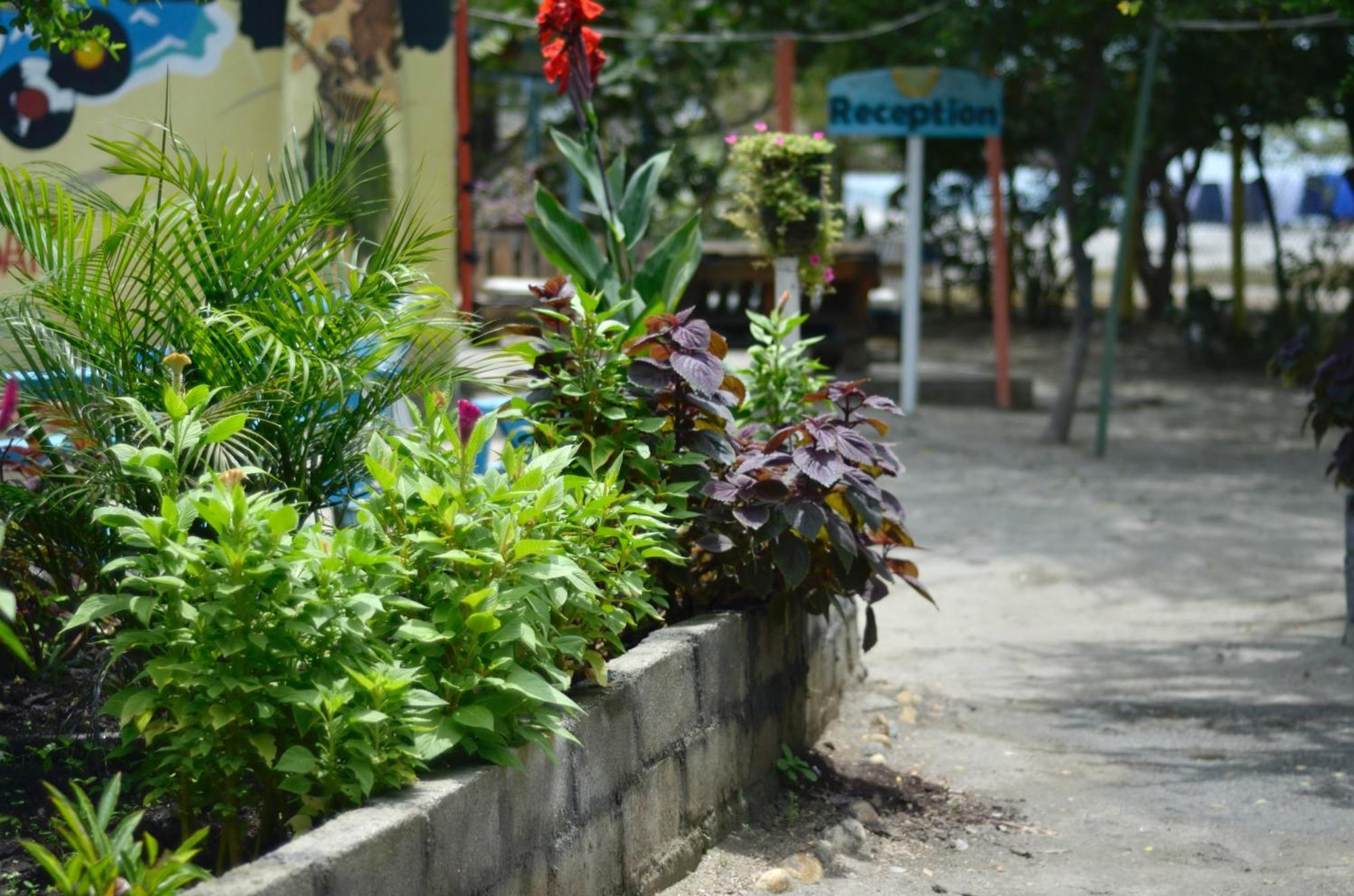 Playa Del Ritmo Beach Hostel & Bar - Adults Only Santa Marta  Exterior photo